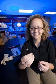 Nanoparticle network to convert sunlight more efficiently