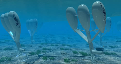 wave and tidal energy