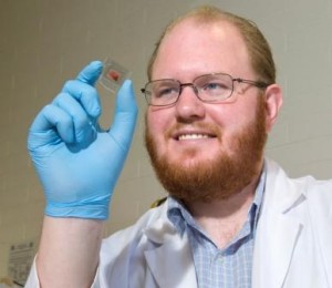 Solar cell using carbon nanotubes turns windows into generators