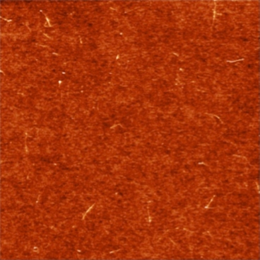 Carbon nanotubes deposited on a silicon surface