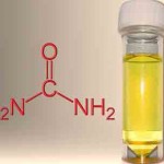 hydrogen-from-urine-alternative-fuel