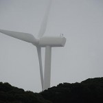 Japanese Wind Power Plants Survive the Earthquake