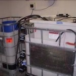 Innovative device that uses bacteria growing in municipal sewage to make electricity and clean up the sewage