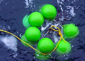 Atmospheric warming altering ocean salinity and the water cycle