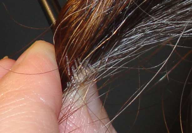 Hairbrush Which Shows the Level of Brain Activity Technology - infrared - brain activity