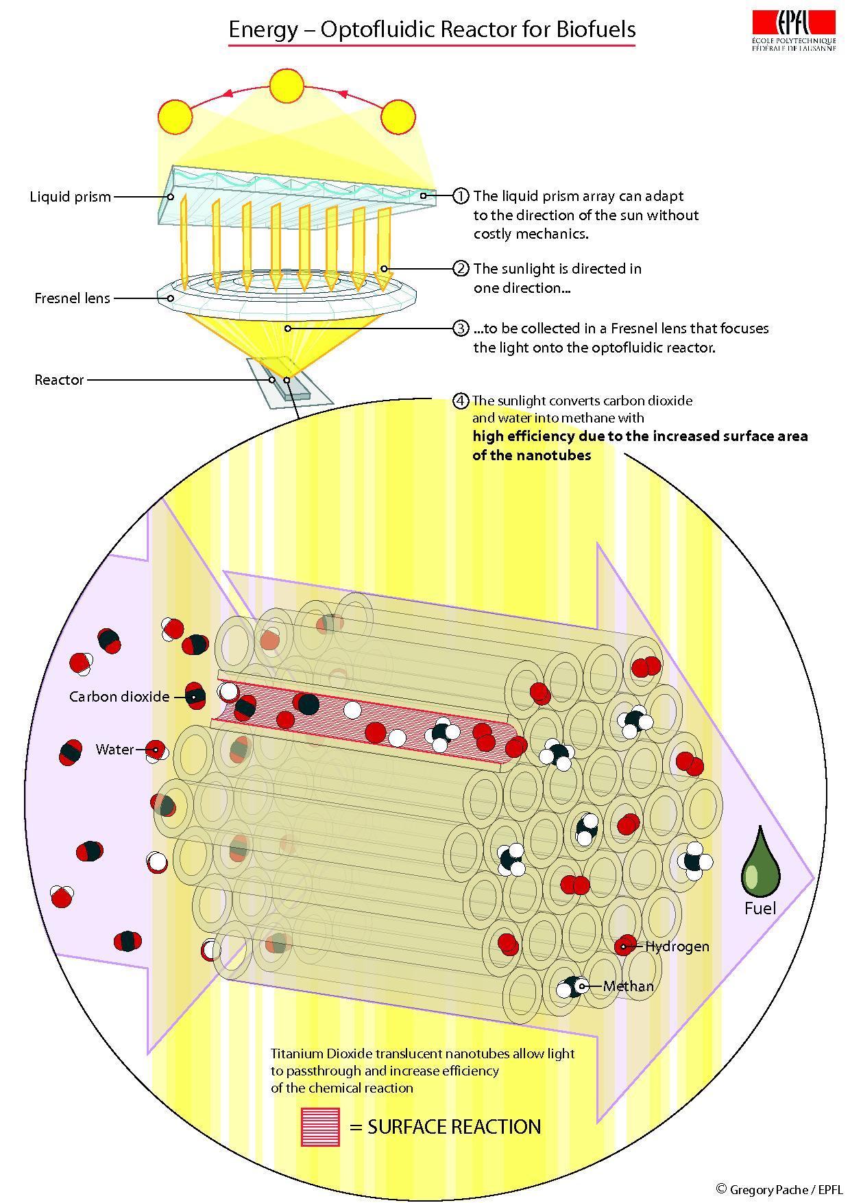 How to bring sunlight into your home