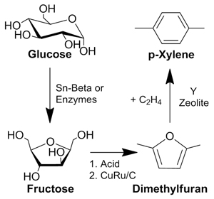 High-Yield Method for Producing Everyday Plastics from Biomass