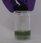 polymer nanofibers conducting polymers