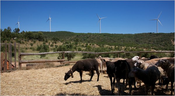 PORTUGAL wind turbines portugal - clean energy