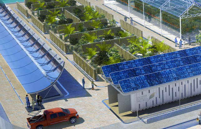 The Sajara Forest Project Pilot Plant in Qatar