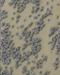 Self-repairing batteries in less than a millisecond