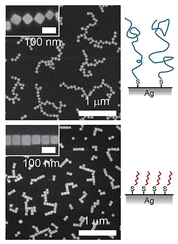 Self Assembling Nanocubes