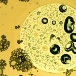 Solar cell raises the bar for low-cost designs