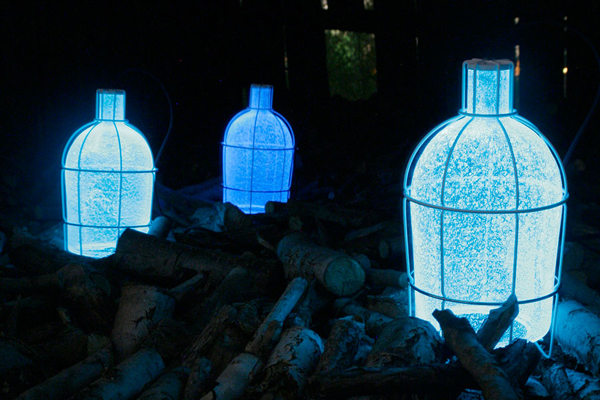 trap light trap light -