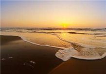 Wave energy - tidal energy