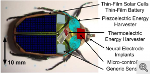 Insect cyborgs Converting the kinetic energy from wing movements of the insect into electricity